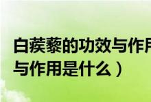白蒺藜的功效與作用量多少克(白蒺藜的功效與作用是什么)