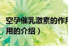 空孕催乳激素的作用（關于空孕催乳激素的作用的介紹）