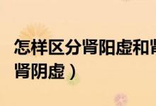 怎樣區(qū)分腎陽(yáng)虛和腎陰虛（怎樣區(qū)分腎陽(yáng)虛和腎陰虛）