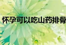 懷孕可以吃山藥排骨嗎（懷孕可以吃山竹嗎）