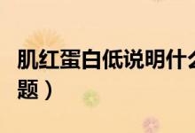 肌紅蛋白低說(shuō)明什么（肌紅蛋白低說(shuō)明什么問(wèn)題）