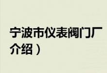 寧波市儀表閥門廠（關(guān)于寧波市儀表閥門廠的介紹）