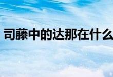 司藤中的達(dá)那在什么地方（司藤電視劇簡(jiǎn)介）