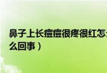 鼻子上長痘痘很疼很紅怎么回事（鼻子上長痘痘很疼很紅怎么回事）