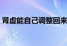 腎虛能自己調整回來嗎（腎虛能自己恢復嗎）