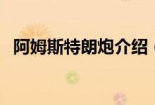 阿姆斯特朗炮介紹（阿姆斯特朗炮的簡介）