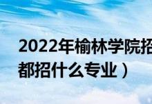 2022年榆林學(xué)院招生計(jì)劃及招生人數(shù)（各省都招什么專業(yè)）