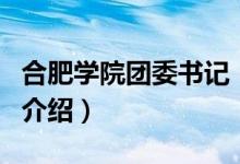 合肥學(xué)院團(tuán)委書記（關(guān)于合肥學(xué)院團(tuán)委書記的介紹）