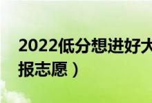 2022低分想進好大學的技巧（低分考生怎么報志愿）