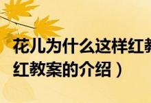 花兒為什么這樣紅教案（關(guān)于花兒為什么這樣紅教案的介紹）