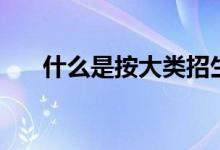 什么是按大類招生（報考要注意什么）