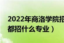 2022年商洛學(xué)院招生計(jì)劃及招生人數(shù)（各省都招什么專業(yè)）