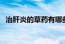 治肝炎的草藥有哪些（三種治肝炎的草藥）
