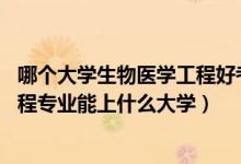 哪個大學(xué)生物醫(yī)學(xué)工程好考（2022高考550分報生物醫(yī)學(xué)工程專業(yè)能上什么大學(xué)）