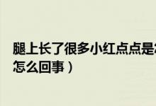 腿上長(zhǎng)了很多小紅點(diǎn)點(diǎn)是怎么回事（腿上長(zhǎng)了很多小紅點(diǎn)是怎么回事）