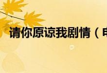 請你原諒我劇情（電視劇請你原諒我簡介）