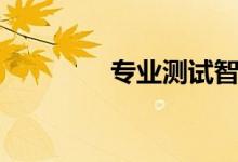 專(zhuān)業(yè)測(cè)試智商（專(zhuān)業(yè)測(cè)試）
