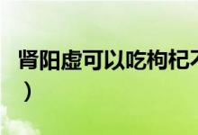 腎陽虛可以吃枸杞不（腎陽虛可以吃枸杞子嗎）