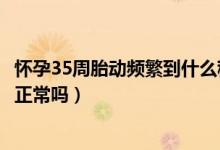 懷孕35周胎動(dòng)頻繁到什么程度說明缺氧（懷孕35周胎動(dòng)頻繁正常嗎）