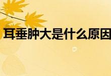 耳垂腫大是什么原因（耳垂腫大是什么原因）