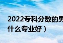 2022?？品謹?shù)的男生可以選擇什么專業(yè)（選什么專業(yè)好）