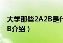 大學那些2A2B是什么意思?。P于大學2A2B介紹）