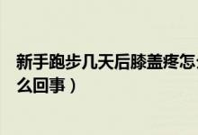 新手跑步幾天后膝蓋疼怎么恢復(fù)（新手跑步幾天后膝蓋疼怎么回事）
