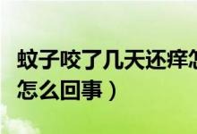 蚊子咬了幾天還癢怎么辦（蚊子咬了幾天還癢怎么回事）