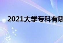 2021大學(xué)?？朴心男W(xué)校（哪些學(xué)校好）