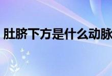 肚臍下方是什么動(dòng)脈（肚臍下方是什么器官）