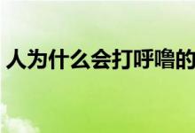 人為什么會(huì)打呼嚕的原因（人為什么會(huì)打鼾）