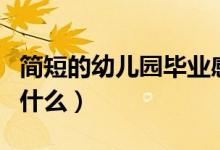 簡(jiǎn)短的幼兒園畢業(yè)感言（幼兒園畢業(yè)可以說(shuō)到什么）