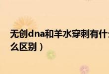 無創(chuàng)dna和羊水穿刺有什么危害（無創(chuàng)dna和羊水穿刺有什么區(qū)別）