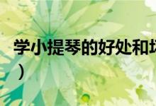 學小提琴的好處和壞處（學小提琴的最佳年齡）