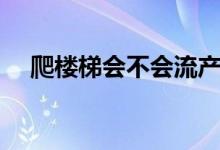 爬樓梯會不會流產(chǎn)（爬樓梯會不會腿粗）