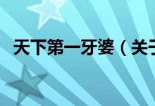 天下第一牙婆（關(guān)于天下第一牙婆的介紹）
