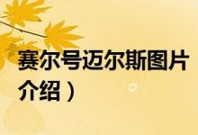 賽爾號邁爾斯圖片（關(guān)于賽爾號邁爾斯圖片的介紹）