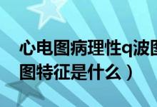 心電圖病理性q波圖片特點(diǎn)(病理性q波心電圖特征是什么)