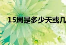 15周是多少天或幾個(gè)月（15周是幾個(gè)月）