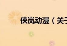 俠嵐動(dòng)漫（關(guān)于俠嵐動(dòng)漫的介紹）