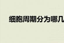 細胞周期分為哪幾個時期（特點是什么）