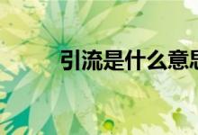 引流是什么意思飯圈（引流解釋）