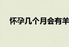 懷孕幾個月會有羊水（懷孕幾個月會吐）