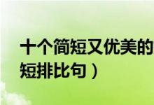 十個簡短又優(yōu)美的排比句(最簡單的10個簡短排比句)