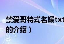 禁愛哥特式名媛txt（關于禁愛哥特式名媛txt的介紹）