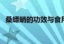 桑螵蛸的功效與食用方法（桑螵蛸的功效）