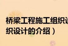 橋梁工程施工組織設(shè)計(jì)（關(guān)于橋梁工程施工組織設(shè)計(jì)的介紹）