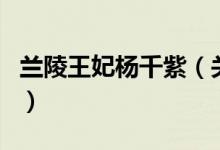 蘭陵王妃楊千紫（關(guān)于蘭陵王妃楊千紫的介紹）