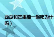 西瓜和芒果能一起吃為什么會(huì)拉肚子（西瓜和芒果能一起吃嗎）
