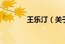 王樂(lè)?。P(guān)于王樂(lè)汀的介紹）
